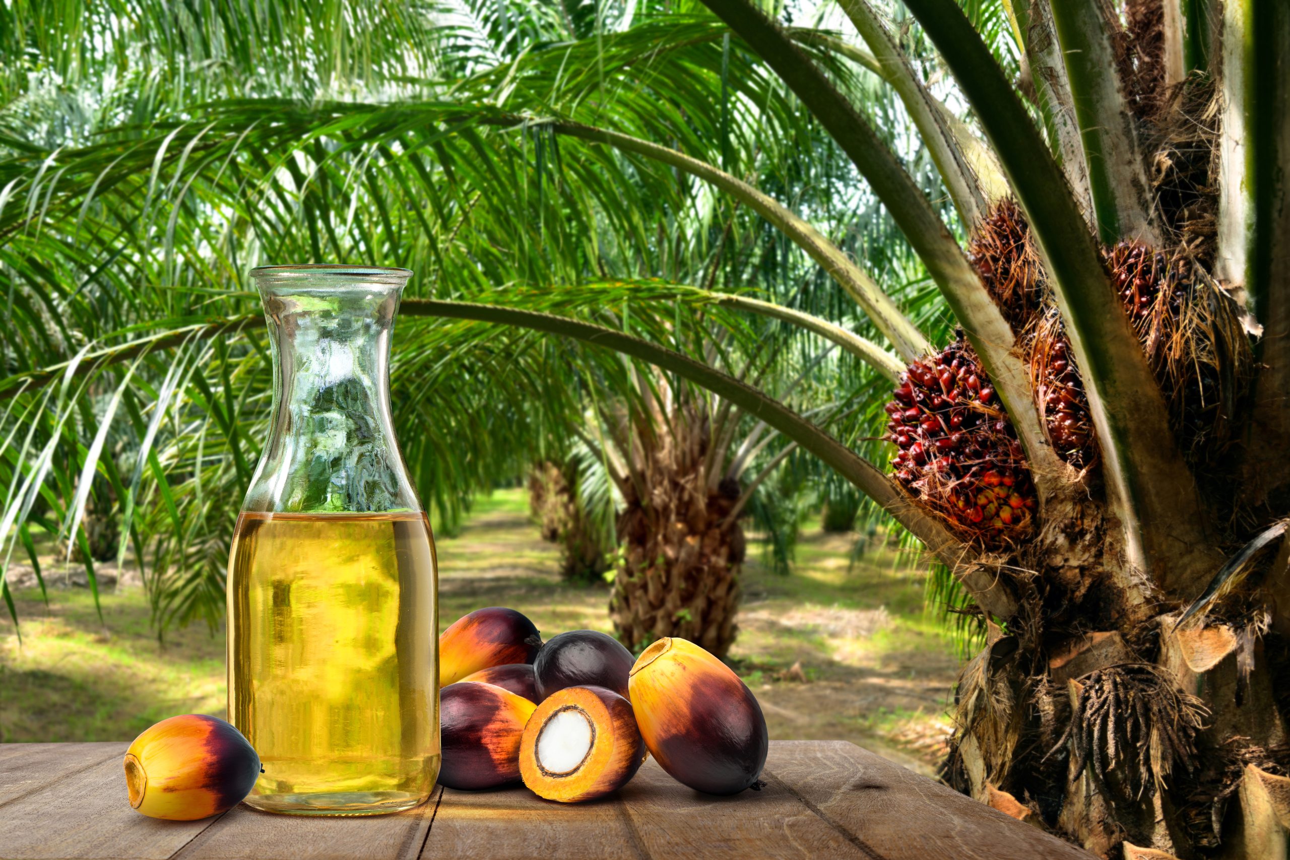 Palm Oil & Vegetable Oil