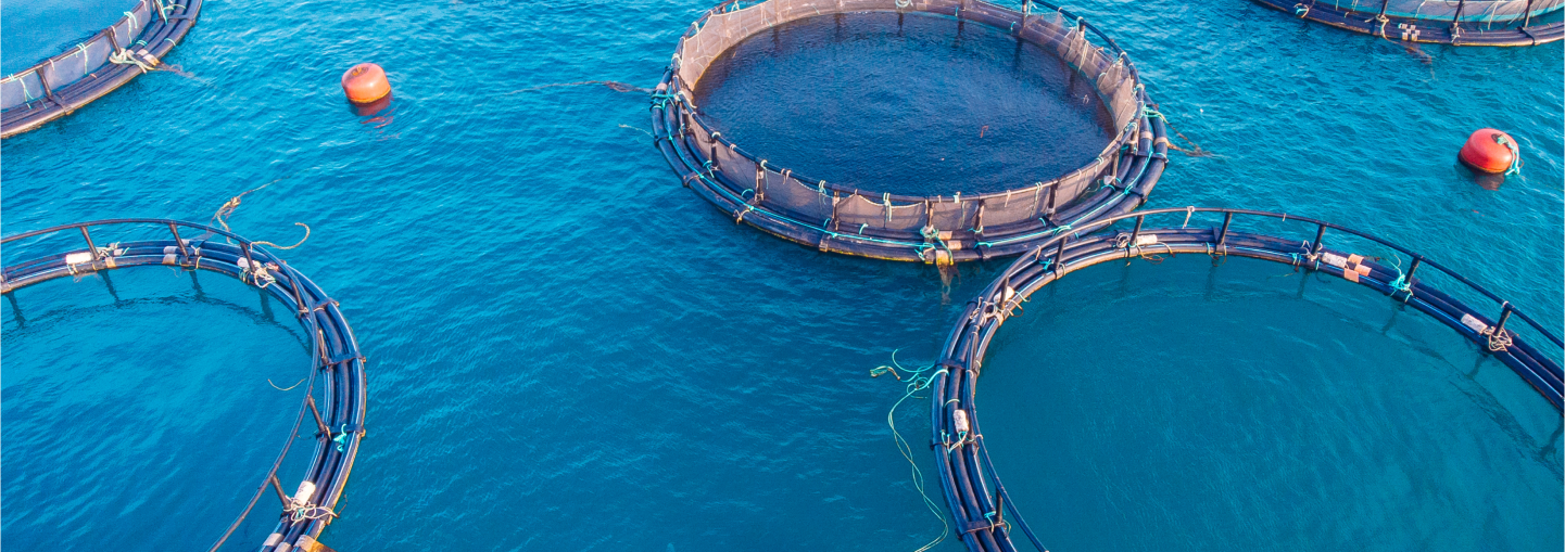 aquaculture and fisheries