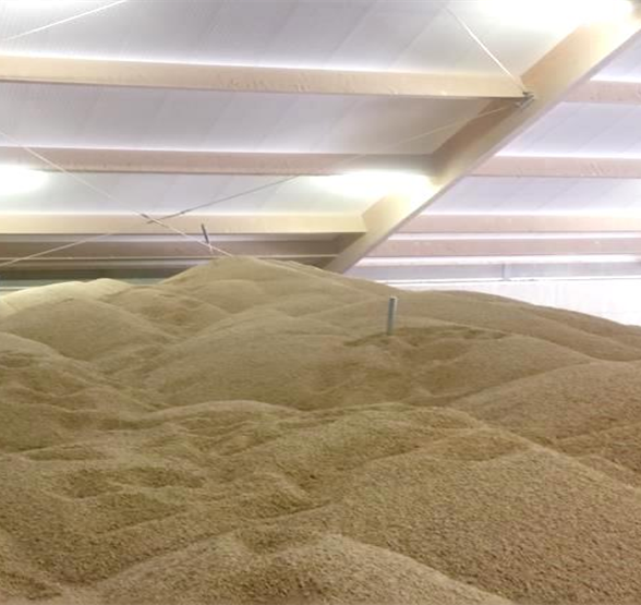 Temperature monitoring (TEMO)