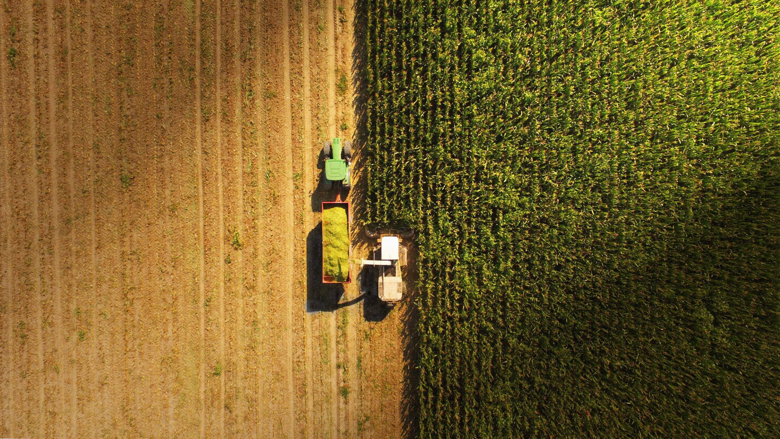 Agriculture market Brazil Argentina (1)