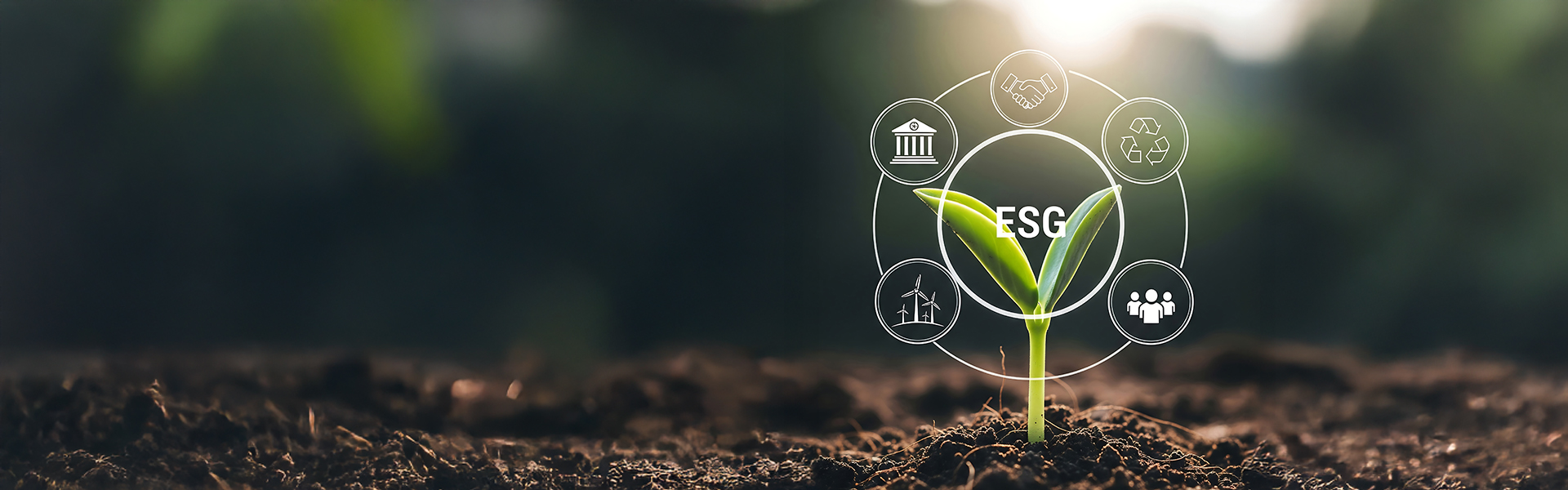 AdobeStock_1735078359_1