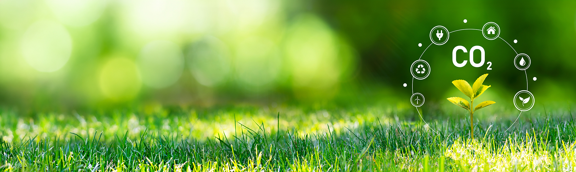 AdobeStock_545720305_1