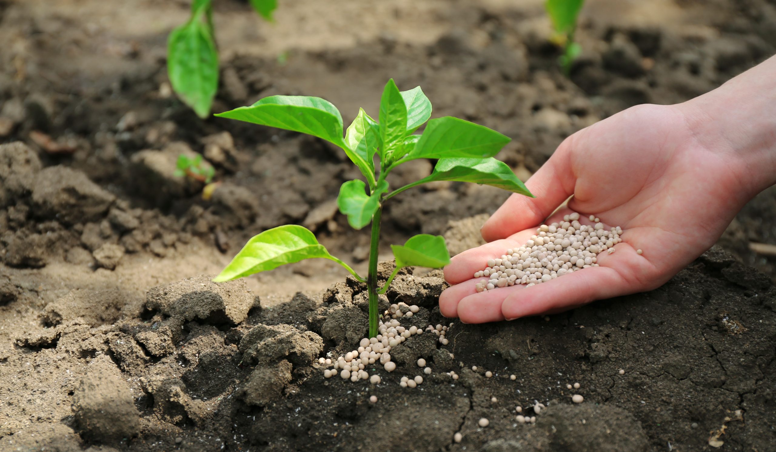 Fertilizer